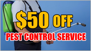 50% off Pest Control Service $50 off Pest Control Service