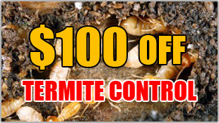 100% off Termite Control $100 off Termite Control