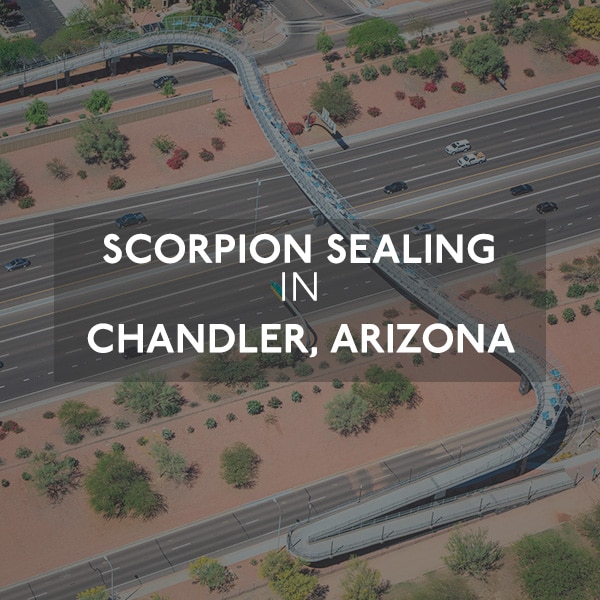 Motorway Scorpion Chandler, AZ