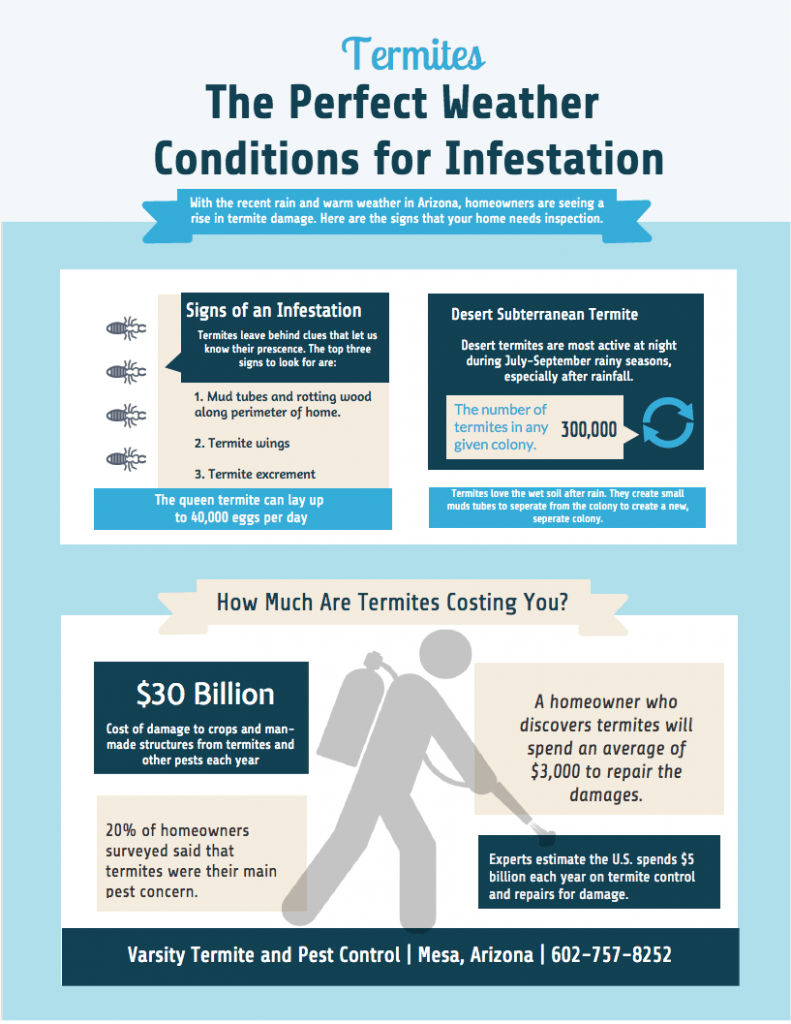 Infographic: Warning signs for termite infestation. Infographic: Warning signs for termite infestation.