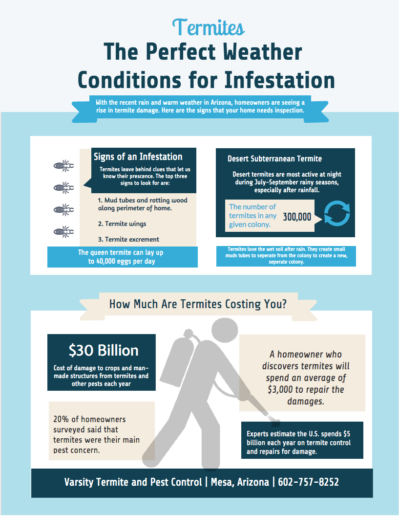 Infographic: Warning signs for termite infestation. Infographic: Warning signs for termite infestation.