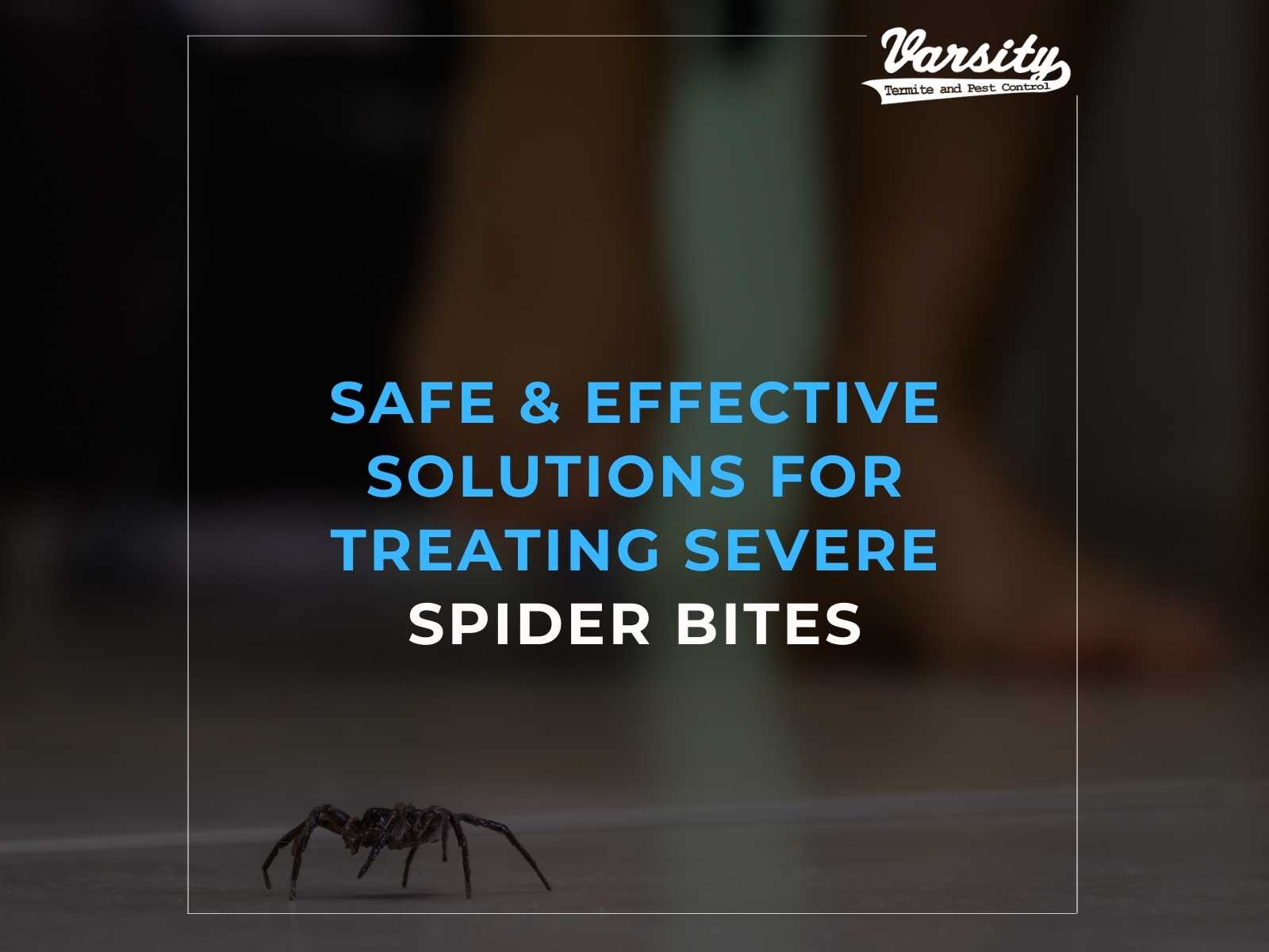 Safe & Effective Solutions For Treating Severe Spider Bites