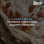 4 Simple Ways To Proof Your Door Against Termites