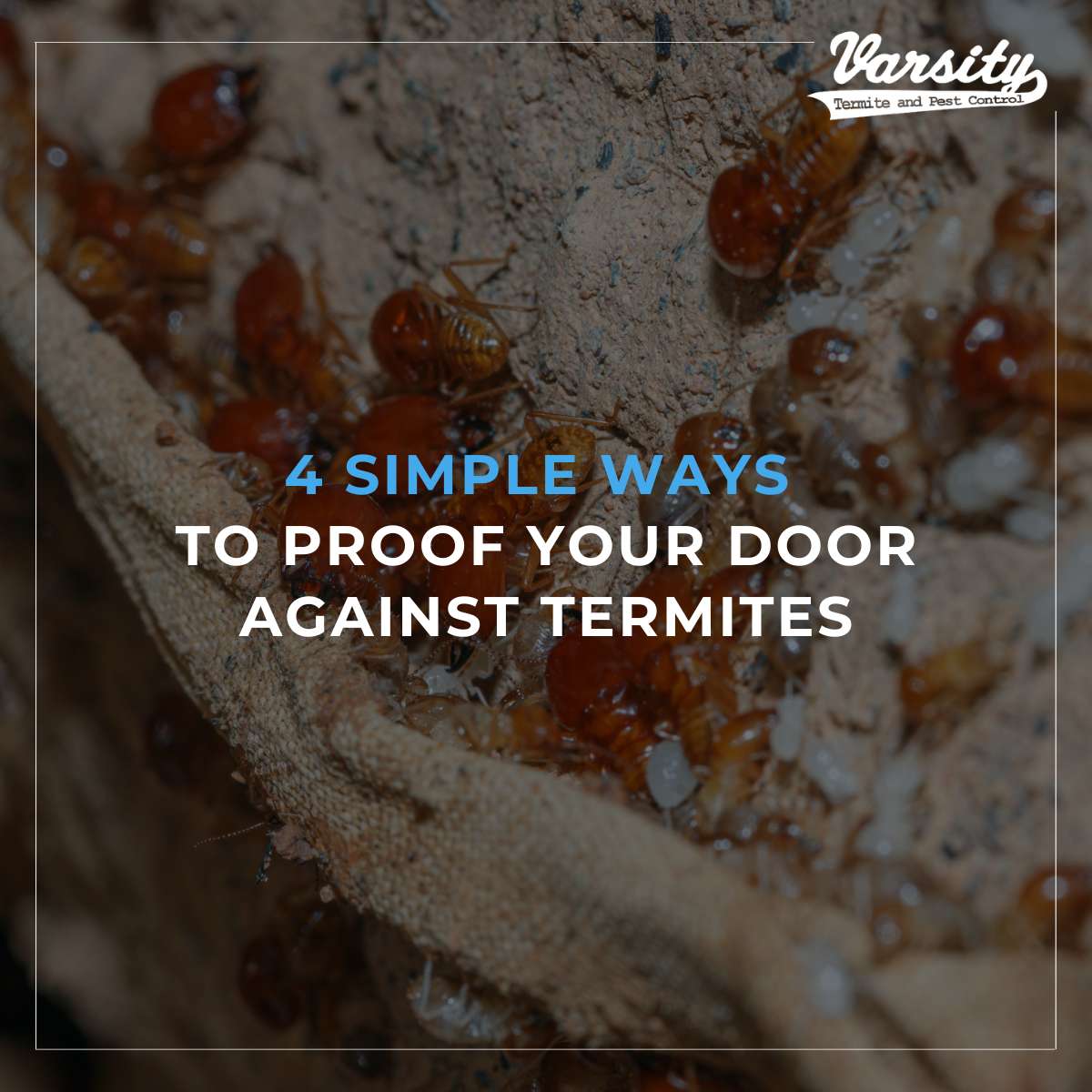 4 Simple Ways To Proof Your Door Against Termites
